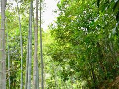 -千泷沟大瀑布旅游区