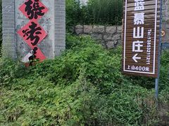 -老张烤羊(王哥庄店)