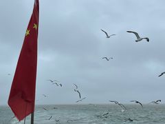 -海驴岛(荣成市)
