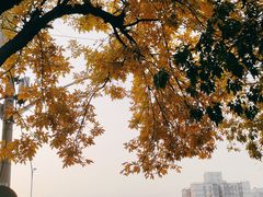 -知春路(地铁站)