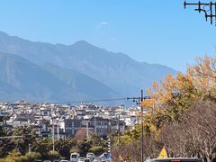 -洱海月湿地公园