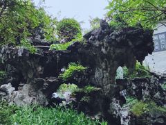 -春润大地海南椰子鸡(沙井京基百纳广场店)