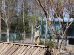 -天津市动物园