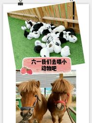 -萌宠亲子动物乐园(槐房万达店)