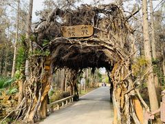 -东平国家森林公园