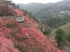 -木兰云雾山