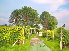 -安德鲁户外烧烤帐篷营地(马泉营店)