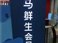 -盒马鲜生(大成店)
