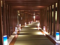 -重庆南山海昌汤都