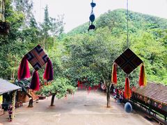 -西双版纳原始森林公园