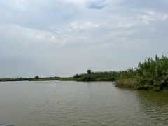 -宁波杭州湾国家湿地公园