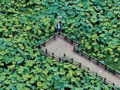 -江郎山风景名胜区