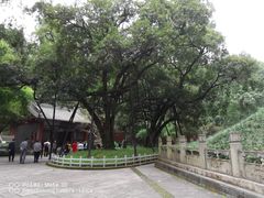 -武侯墓风景区