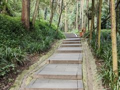 -青城山