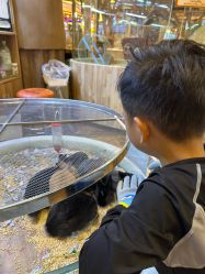 -卡通尼·Safari非洲探索乐园·生日会(金桥国际商业广场店)