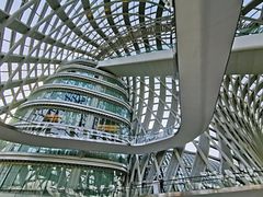 -凤凰中心