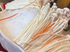 -蜀辣居鲜货老火锅(双流万达店)
