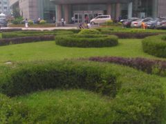 -中国医科大学附属盛京医院(南湖院区)