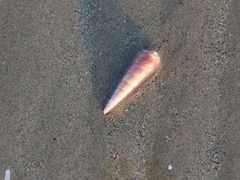 -南澳海滩
