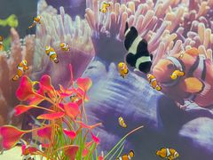 -烟台海昌鲸鲨海洋公园