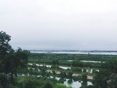 -焦山风景区