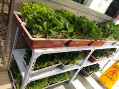 -捞围鲜·港式打边炉(海阳路店)