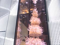 -BLACKSWAN黑天鹅(环球店)