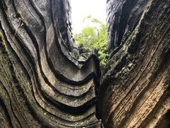 -梭布垭石林景区