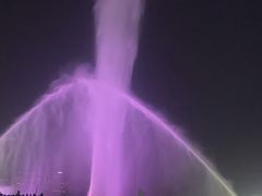-九龙湖公园