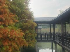 -溱湖国家湿地公园