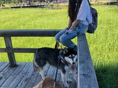 -塞罕坝国家级自然保护区