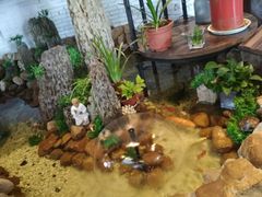 -威海九禧海鲜居渔水饺(经区店)