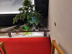 -鸽子侯·家宴·平价海鲜(市图书馆店)