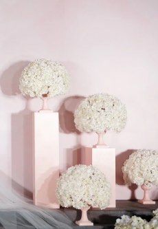 -天邑国际酒店·宴会厅