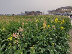 -中国天府农业博览园