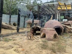 -大连森林动物园