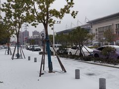 -紫燕百味鸡(广埠屯店)