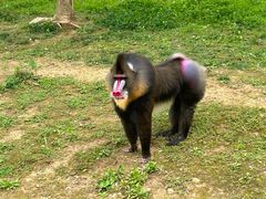 -杭州野生动物世界