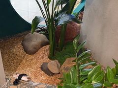 -相遇·鲜炒黄牛肉(丹阳吾悦广场店)