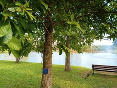 -中国科学院西双版纳热带植物园