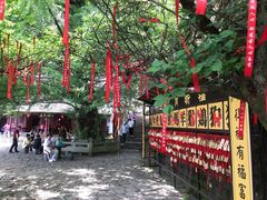 -大慈岩风景区