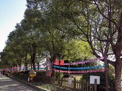 -上海都市菜园