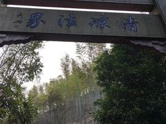 -天目山大树王景区