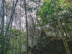 -黄山翡翠谷景区