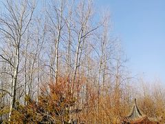 -仁和公园(顺义区)