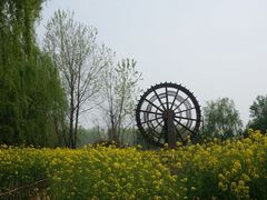 溱湖国家湿地公园-溱湖国家湿地公园