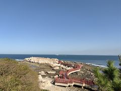 -养马岛旅游度假区