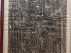 -广东中医药博物馆