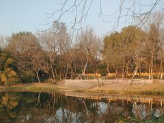 -西溪国家湿地公园