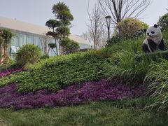 -西安电影制片厂